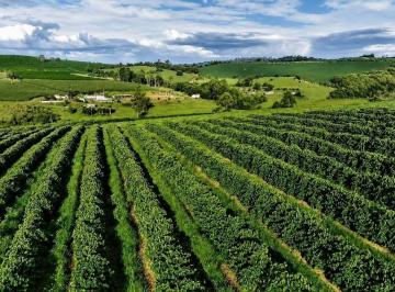 Foto 01 · Fazenda de Café Produtiva, em Varginha/MG, com 968.000 m2, 40 alqueires, preço de Ocasião!