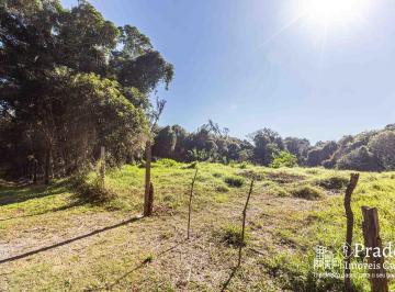 _mg_99731696615462398.jpg · Terreno à venda, 6.972 m² privativos  Del Rey, São José dos Pinhais, PR