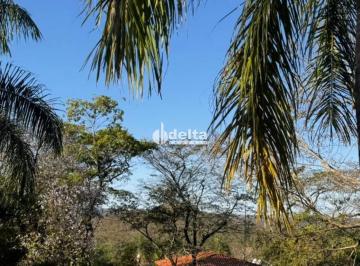Rural · 8000m² · 5 Quartos · 5 Vagas · Chácara disponível para venda em área rural em Uberlândia-MG