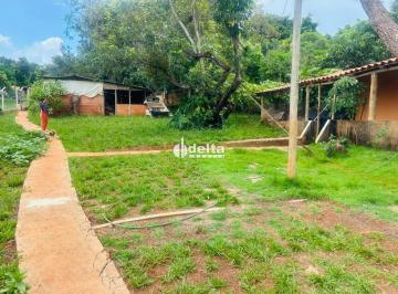 Rural · 1000m² · 1 Quarto · 2 Vagas · Chácara disponível para venda na região rural em Uberlândia-MG
