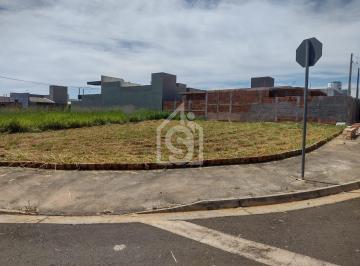 Terreno · 317m² · Excelente Lote Misto de Esquina com 317m² na Avenida – Perfeito para Comércio.