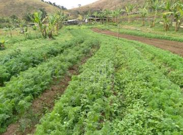 5b92e576f89ec42aaf69bead5e18e2656091ee65 · FAZENDA ORGÂNICA PRODUTIVA COM 252000,00m², – PORTEIRA FECHADA