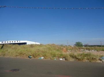 Terreno · 1000m² · Terreno para venda em Ceat de 1000.00m²