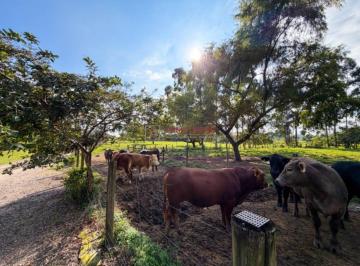 Rural · 220000m² · 7 Quartos · Rurais à venda - em Guarda do Cubatão