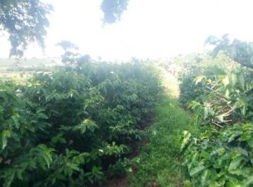 Imagem 1 · Fazenda