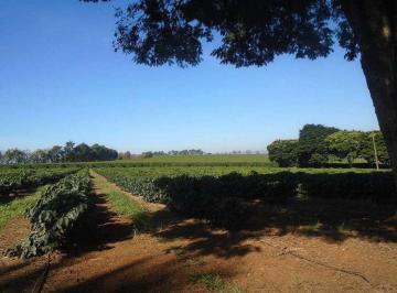 Imagem 1 · Fazenda para venda em Centro, Piumhi