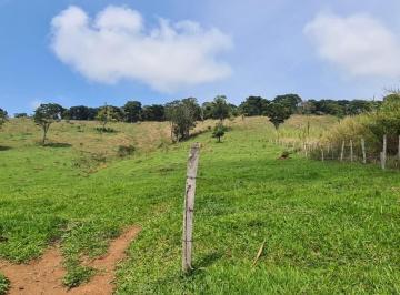 Imagem 1 · Fazenda para venda em Centro, São Lourenço