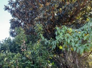 Imagem 1 · Terreno para venda em Centro, Desterro de Entre Rios