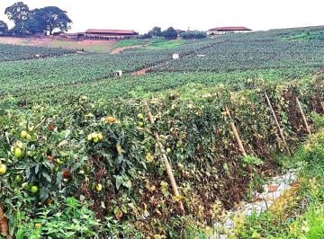 Imagem 1 · Fazenda