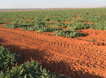 Imagem 1 · Fazenda para venda em Centro, Corinto