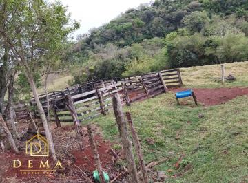 Imagem 1 · Sítio para venda em Centro, Boa Vista da Aparecida