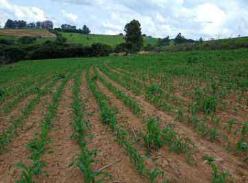 Imagem 1 · Fazenda