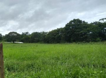 Imagem 1 · Fazenda