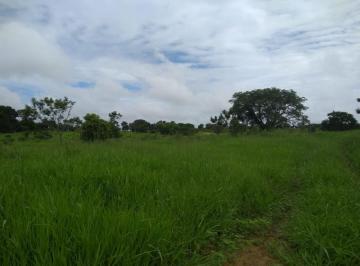 Imagem 1 · Fazenda para venda em Contria, Corinto