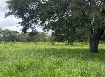 Imagem 1 · Fazenda para venda em Centro, Araçaí
