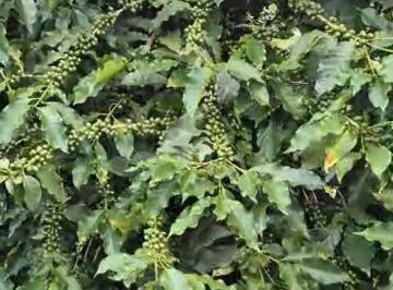 Imagem 1 · Fazenda