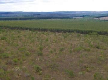 Imagem 1 · Fazenda