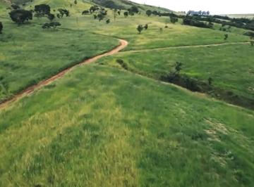 Imagem 1 · Fazenda