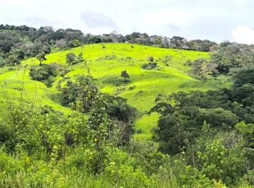 Imagem 1 · Fazenda para venda em Centro, Piracema