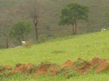 Imagem 1 · Fazenda