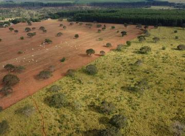 Imagem 1 · Fazenda