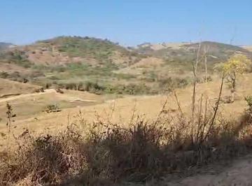Imagem 1 · Fazenda
