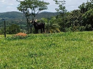 Imagem 1 · Fazenda