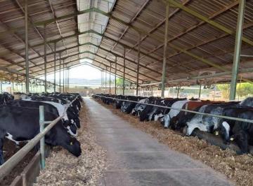 Imagem 1 · Fazenda para venda em Centro, Pompéu