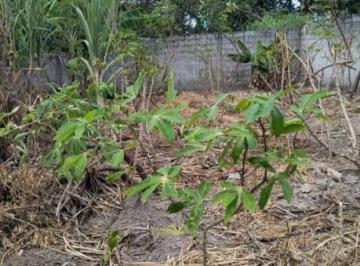 Imagem 1 · Terreno