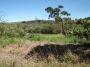 Imagem 1 · Terreno