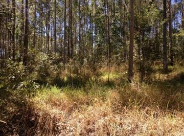 Imagem 1 · Fazenda