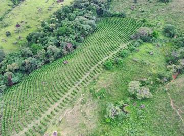 Imagem 1 · Fazenda para venda em Centro, Ouro Fino