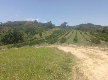 Imagem 1 · Fazenda