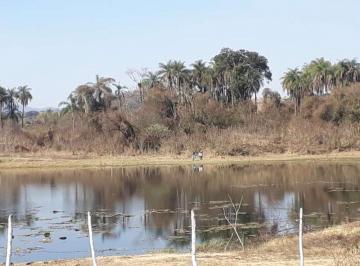 Imagem 1 · Fazenda