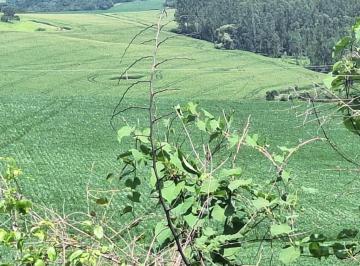 Imagem 1 · Fazenda