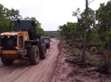 Imagem 1 · Fazenda