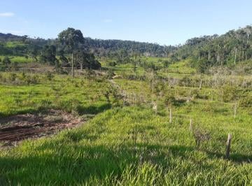 Imagem 1 · Fazenda