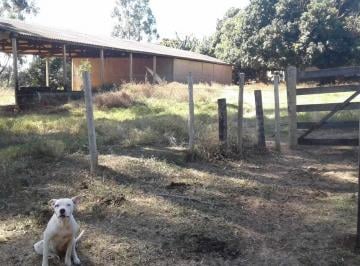 Imagem 1 · Fazenda para venda em Centro, João Pinheiro