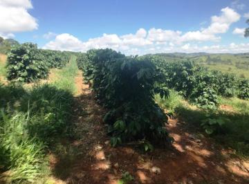 Imagem 1 · Fazenda
