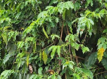 Imagem 1 · Fazenda
