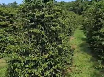 Imagem 1 · Fazenda para venda em Centro, Santana da Vargem