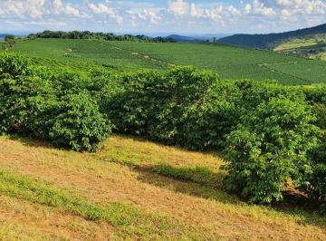 Imagem 1 · Fazenda