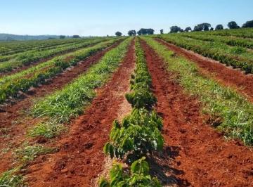 Imagem 1 · Fazenda