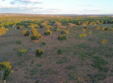 Imagem 1 · Fazenda