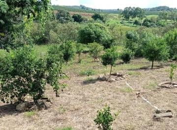 Imagem 1 · Sítio para venda em Centro, Nepomuceno