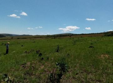 Imagem 1 · Fazenda