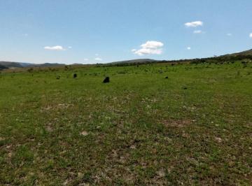 Imagem 1 · Fazenda