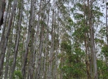 Imagem 1 · Fazenda