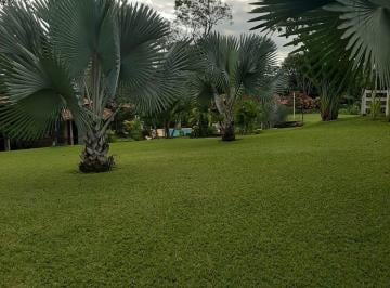 Imagem 1 · Sítio para venda em Centro, Esmeraldas