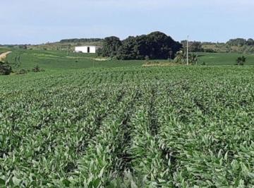 Imagem 1 · Fazenda